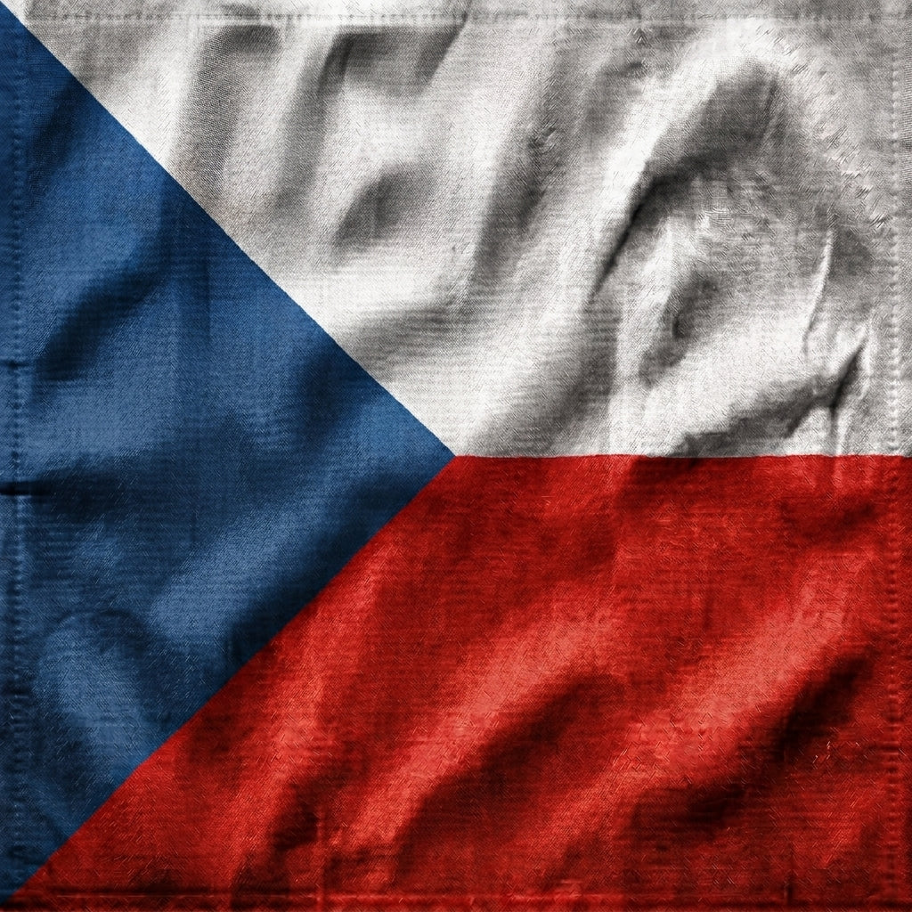close up check flag