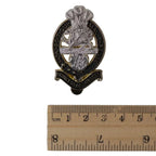 PWRR cap badge measured against a centimetre ruler showing dimensions of approximately 6cm by 4cm