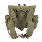 Rear view of South African 70 Pattern medium pack showing back panel and canvas shoulder straps