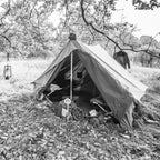 A classic military-style canvas tent pitched in a forest, securely anchored with authentic iron tent pegs for a historical reenactment setup.