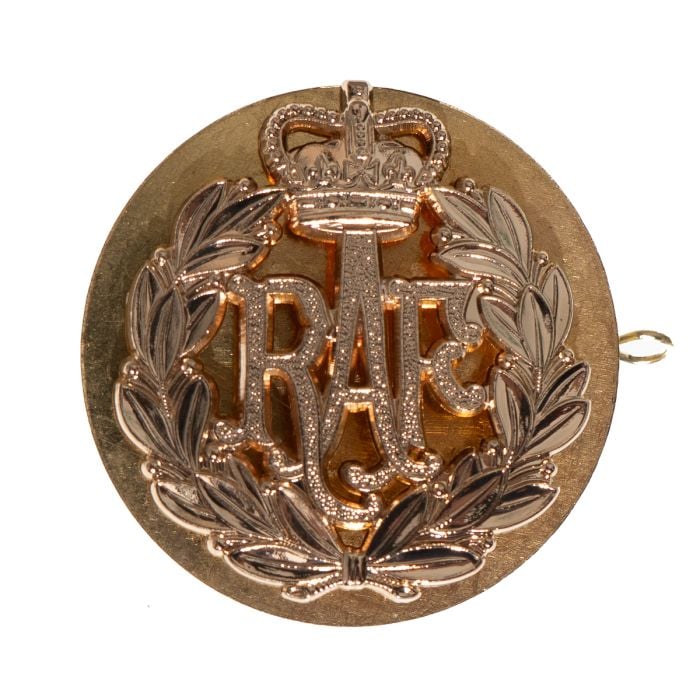 Front view of the gold-toned Staybrite Royal Air Force cap badge mounted on its brass backing plate.