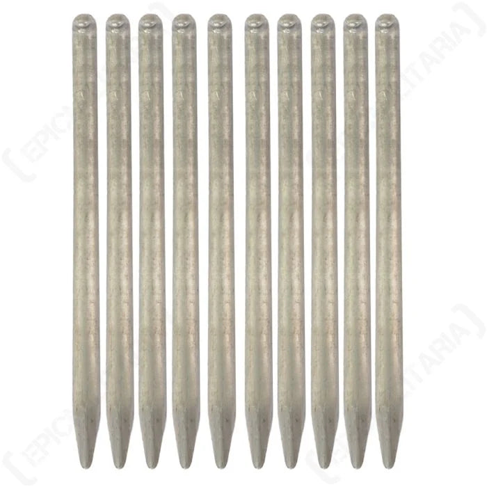 Ten original German Army 25cm aluminium tent pegs lined up on a white background