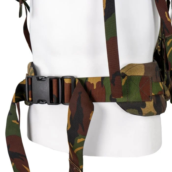 Detailed view of the wide, padded hip belt with a heavy-duty quick-release buckle.