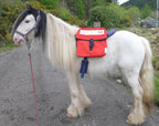 Ex-Royal Mail bike pannier bag set